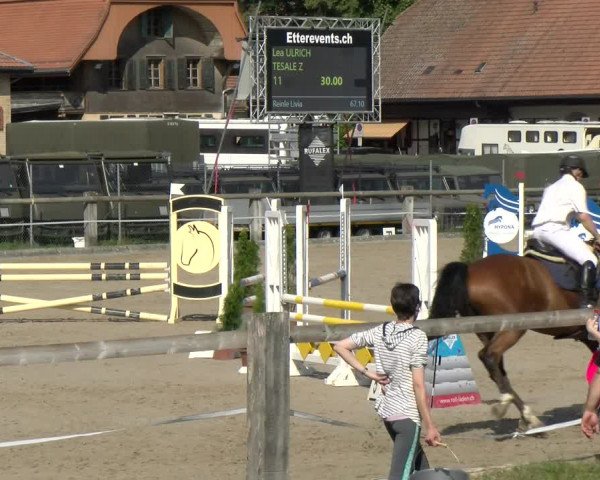 Reitturnier Sand-Schönbühl 2022