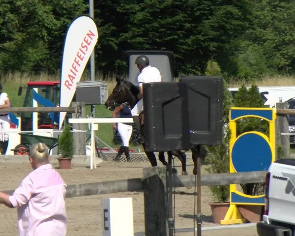 Reitturnier Sand-Schönbühl 2022