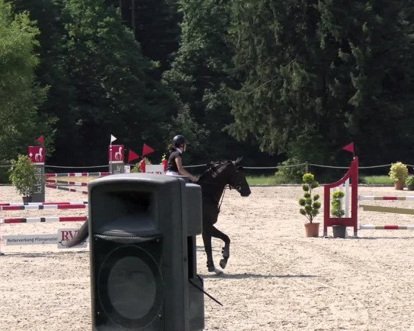 Reitturnier Meilen, Pfannenstiel 2022