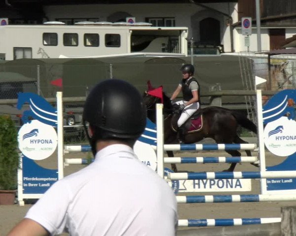 Reitturnier Sand-Schönbühl 2022