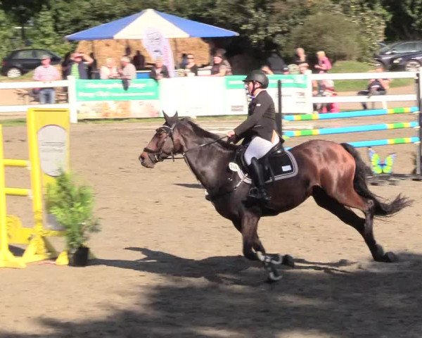 Springturnier Mildstedt 2021
