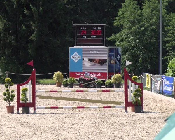 Reitturnier Meilen, Pfannenstiel 2022