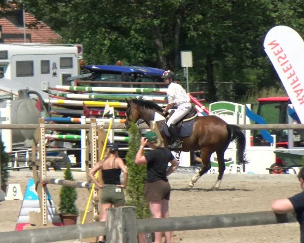 Torneo Equestre Sand-Schönbühl 2022