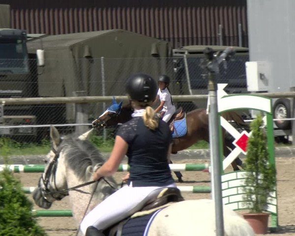 Reitturnier Sand-Schönbühl 2022