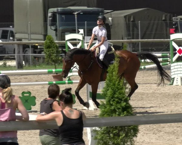 Reitturnier Sand-Schönbühl 2022