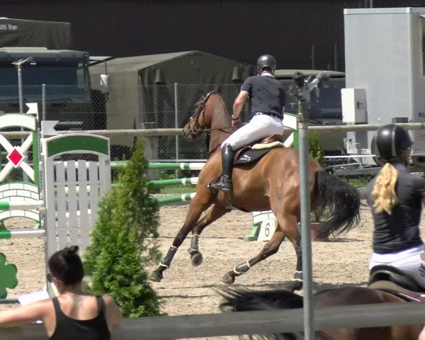 Reitturnier Sand-Schönbühl 2022