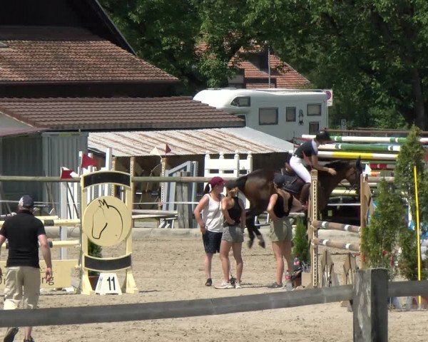 Reitturnier Sand-Schönbühl 2022