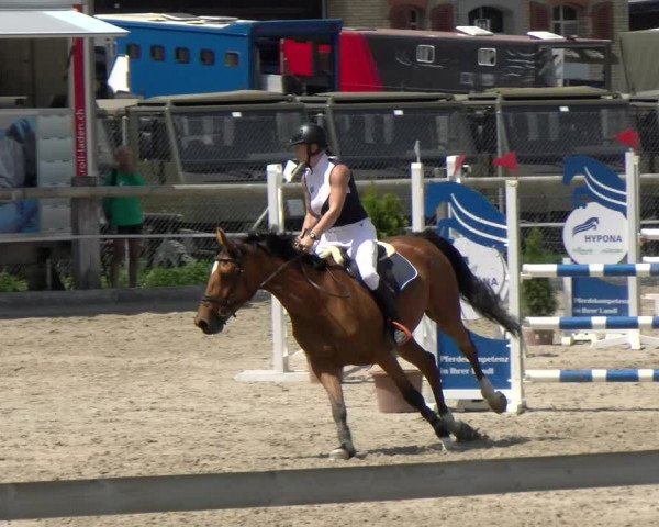 Reitturnier Sand-Schönbühl 2022