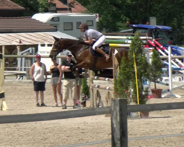 Reitturnier Sand-Schönbühl 2022