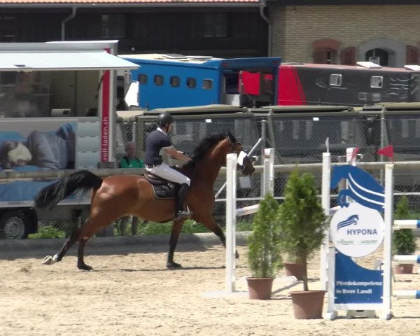 Reitturnier Sand-Schönbühl 2022