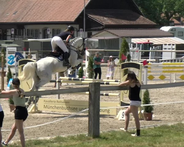 Reitturnier Sand-Schönbühl 2022