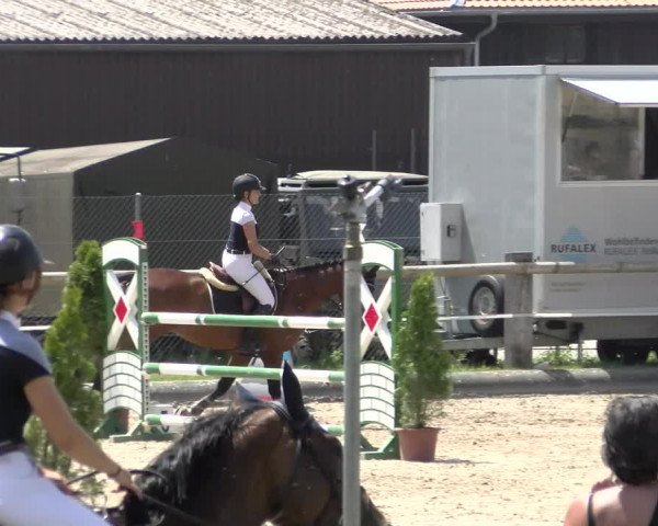 Reitturnier Sand-Schönbühl 2022