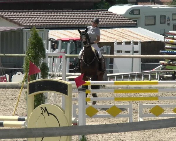 Reitturnier Sand-Schönbühl 2022