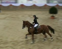 jumper Lewis Lane (KWPN (Royal Dutch Sporthorse), 1998, from Le Byou P)