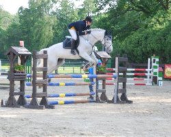 broodmare Flying Angel 6 (Belgian Warmblood, 1999)
