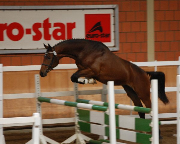 horse Firefly D (Rhinelander, 2010, from Fiderstep)