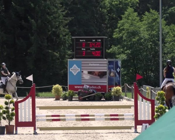 Reitturnier Meilen, Pfannenstiel 2022