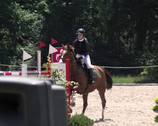 Reitturnier Meilen, Pfannenstiel 2022