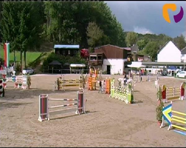 jumper Ravel K 3 (Zweibrücken, 1997, from Radjah Z) jumper Ravel K 3 (Zweibrücken, 1997, from Radjah Z)