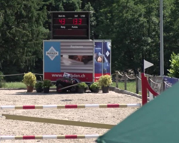 Reitturnier Meilen, Pfannenstiel 2022