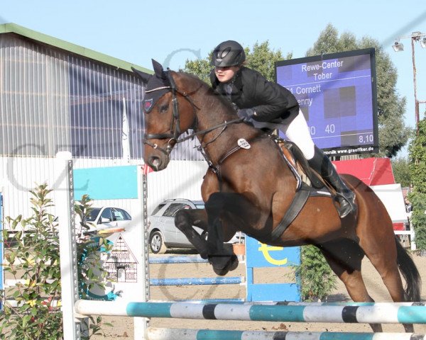 jumper Cornett 73 (Holsteiner, 1990, from Chromatic xx)