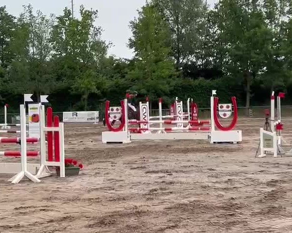Video von Lancelot GD