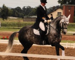 dressage horse MBF Silver-side-up (German Warmblood, 2004, from Silverado)