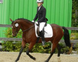 broodmare MBF Golden Starlight WE (German Riding Pony, 2008, from Dance Star AT NRW)
