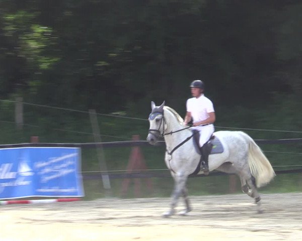 Reitturnier Angermünde/Pinnow 2022