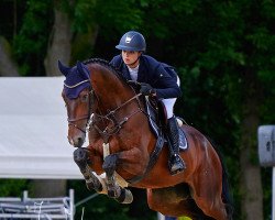 jumper Chardonnay 116 (German Sport Horse, 2016, from Chacco Chacco)