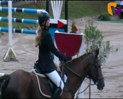 horse Lanzelot 74 (Oldenburg, 1983)