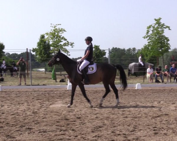 Reitturnier Angermünde/Pinnow 2022