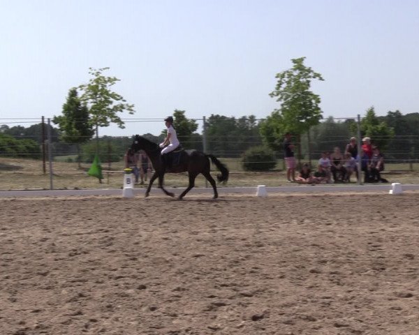 Reitturnier Angermünde/Pinnow 2022