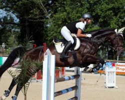 jumper Checkmate (Bavarian, 2000, from Campamento)