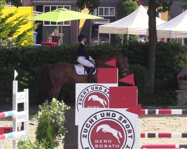Reitturnier Lemwerder 2022