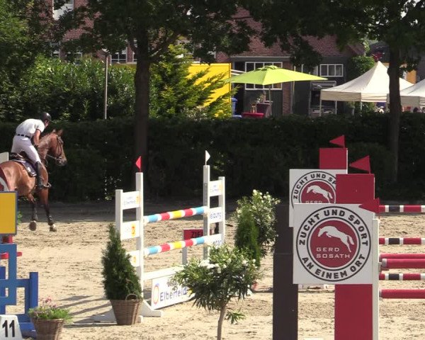 Reitturnier Lemwerder 2022