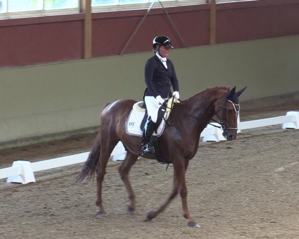 Reitturnier Angermünde/Pinnow 2022