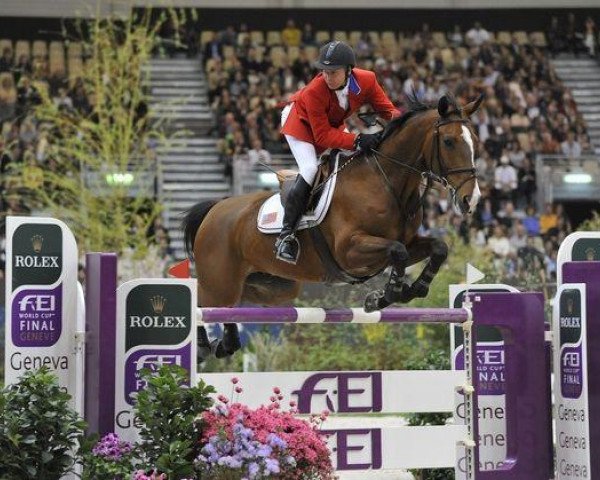 jumper Urico (KWPN (Royal Dutch Sporthorse), 2001, from Zandor Z)