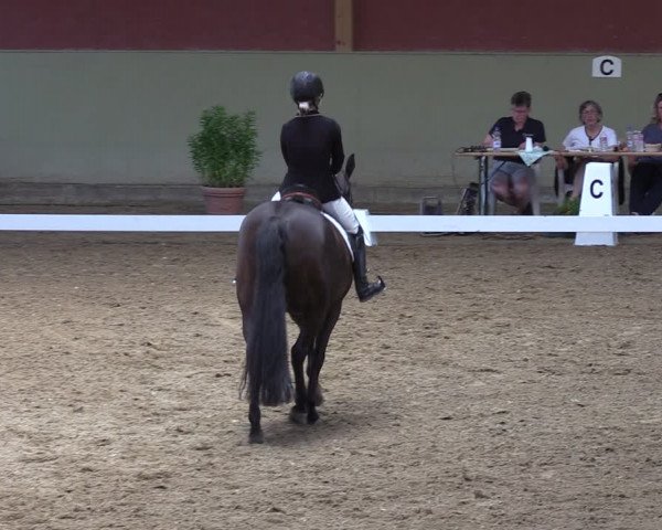 Reitturnier Angermünde/Pinnow 2022