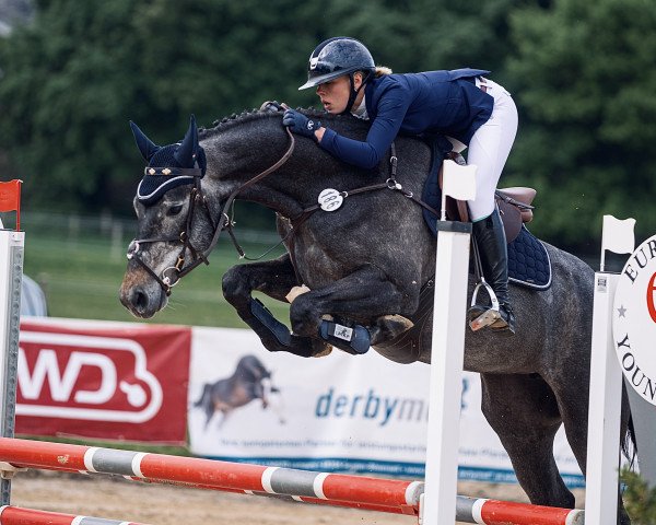 jumper Check La d'or (Hanoverian, 2018, from K.i Checkter)