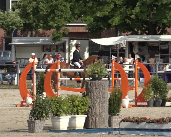 Rheinische Meisterschaften (Langenfeld) 2022