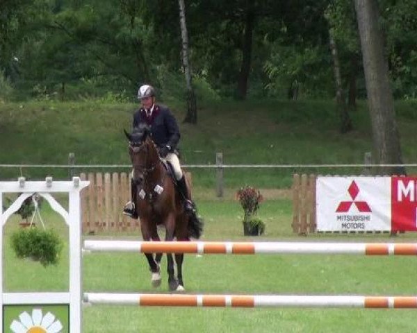 Pferd Cansas 27 (Deutsches Sportpferd, 2007, von Canterbury)