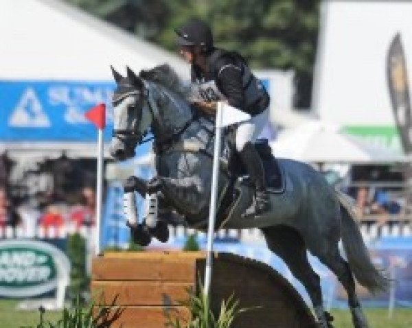 horse Hot Sand xx (Thoroughbred, 2008, from Colombia xx)