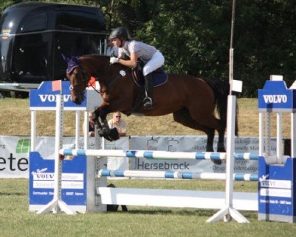 jumper Catta (Westphalian, 2002, from Cordobes I)