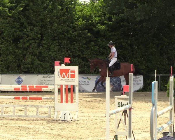 Reitturnier Fröndenberg 2022