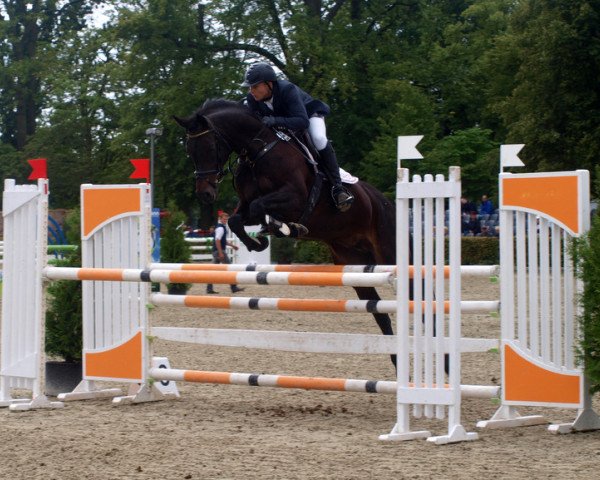 broodmare Chocolate (German Sport Horse, 2004, from Contendro I)
