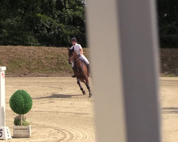 Reitturnier Fröndenberg 2022