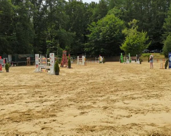 Reitturnier Sprockhövel, Auf der Gethe 2022
