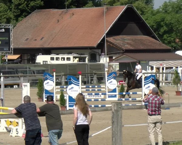 Reitturnier Sand-Schönbühl 2022