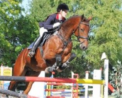dressage horse Rockfire (Westphalian, 2004, from Rockwell)